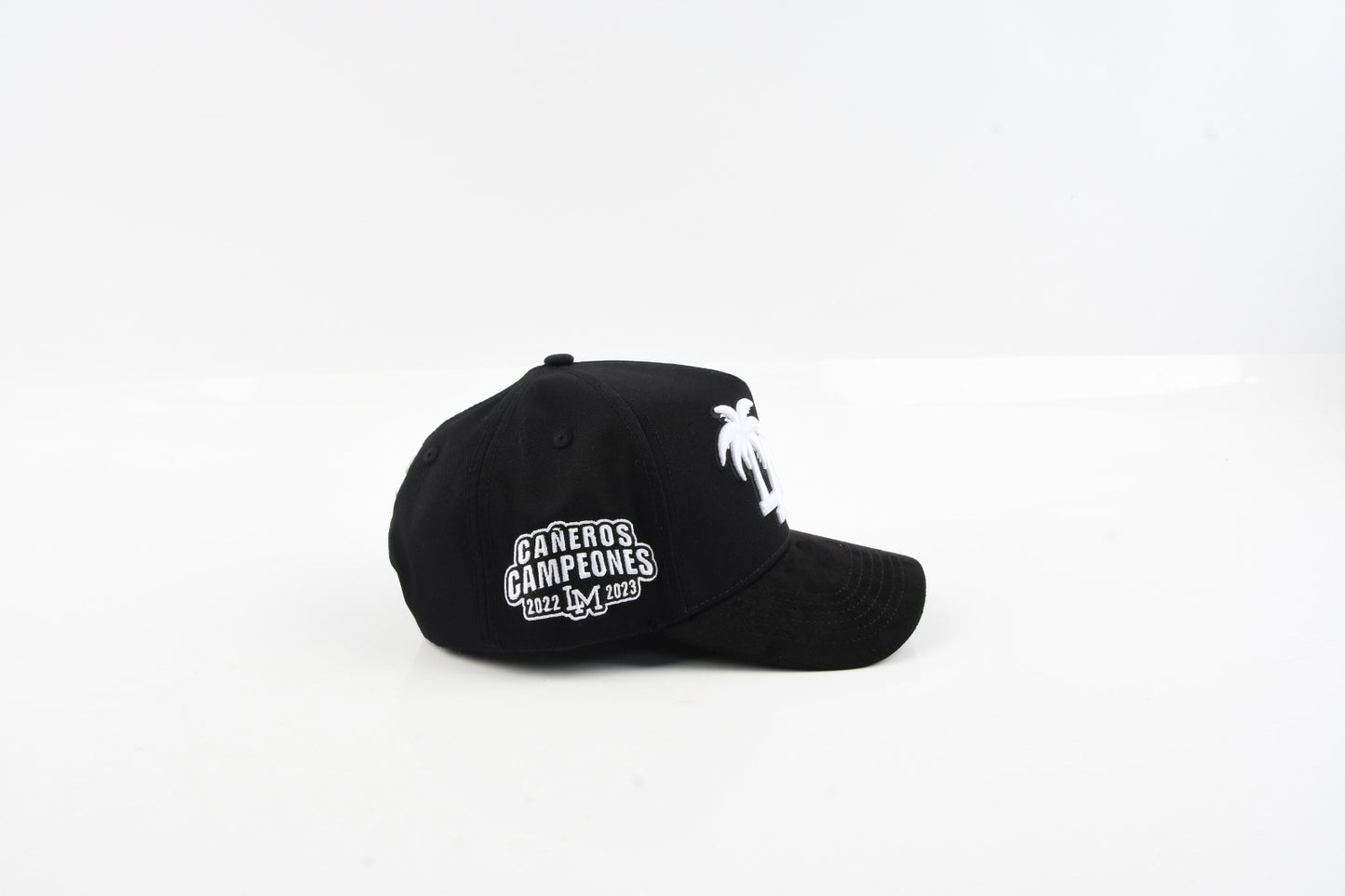 P/T CAP